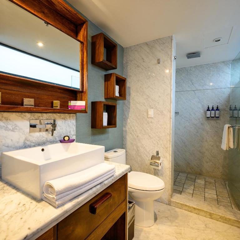 Las Suites Campos Eliseos - Master Suite - 5
