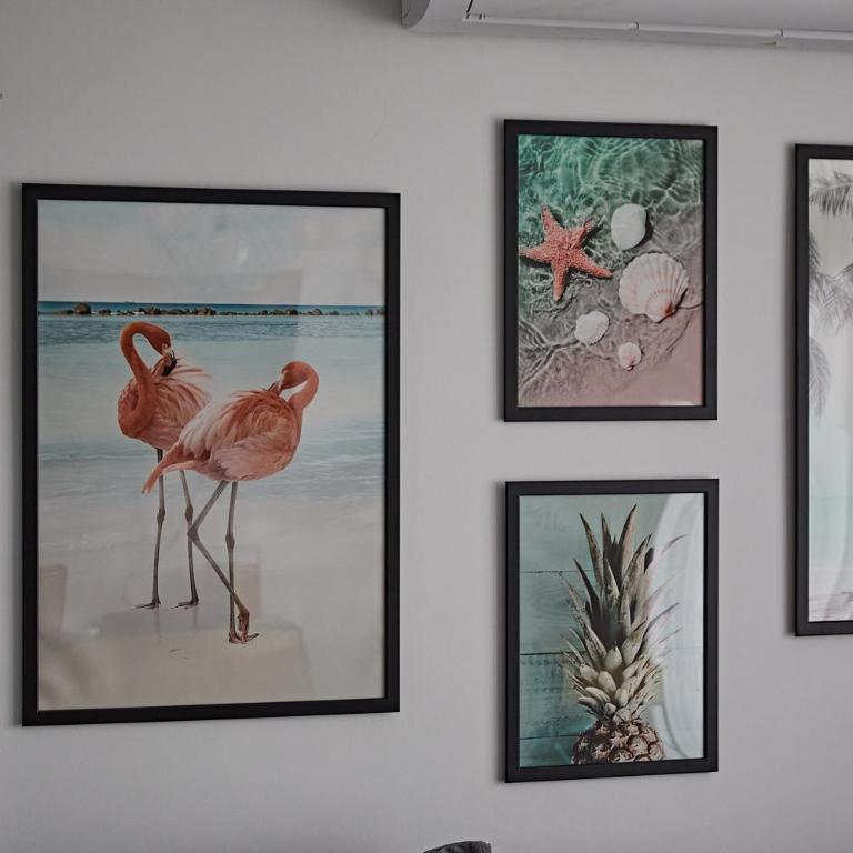 APARTMENT FLAMINGO - Apartamento de 1 dormitorio - 3
