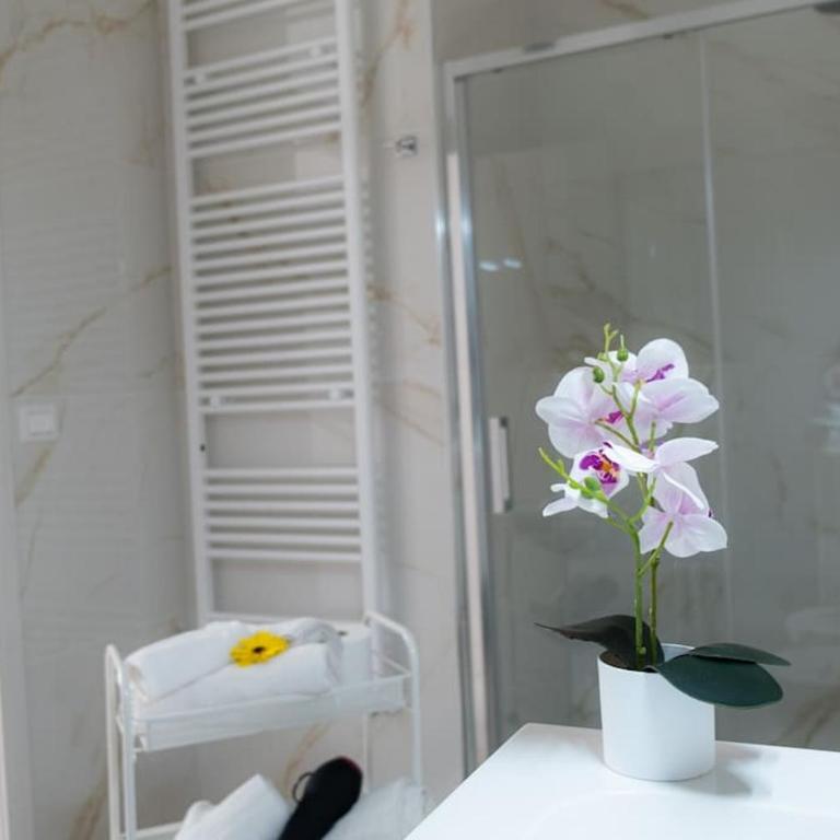 Cortile Segreto e Fontana, Oasi 2 passi dal centro - Appartamento con 1 Camera da Letto - 22