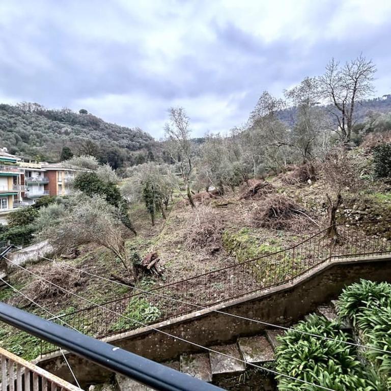 Appartamento in zona tranquilla - Appartamento con 2 Camere da Letto - 14