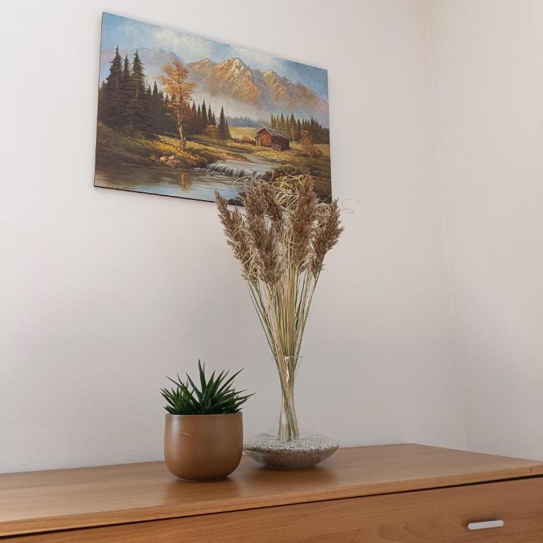 Appartamenti Viola Walter - Apartment mit 2 Schlafzimmern und Gartenblick - 12