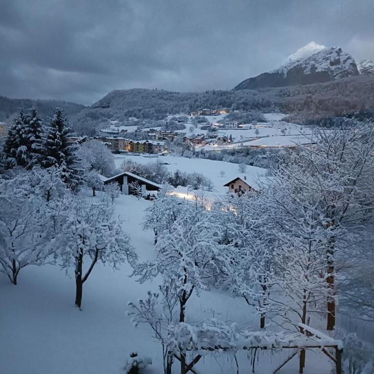 Appartamenti Viola Walter - Apartment mit 2 Schlafzimmern und Gartenblick - 14