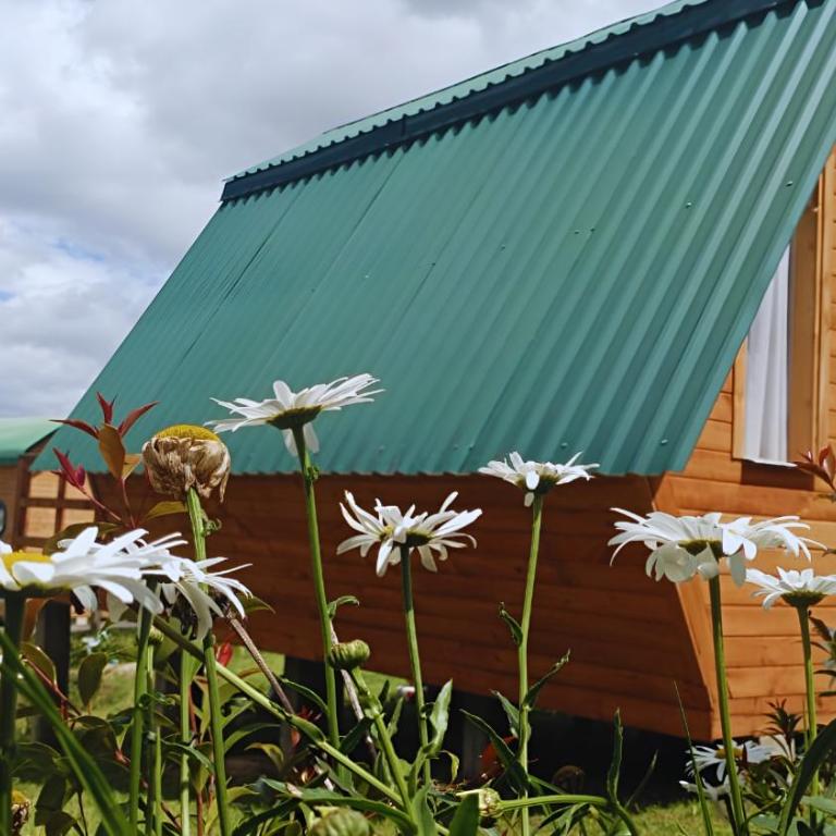 El Alpino Cabaña Glamping & Camping - Bungalow Estándar - 7