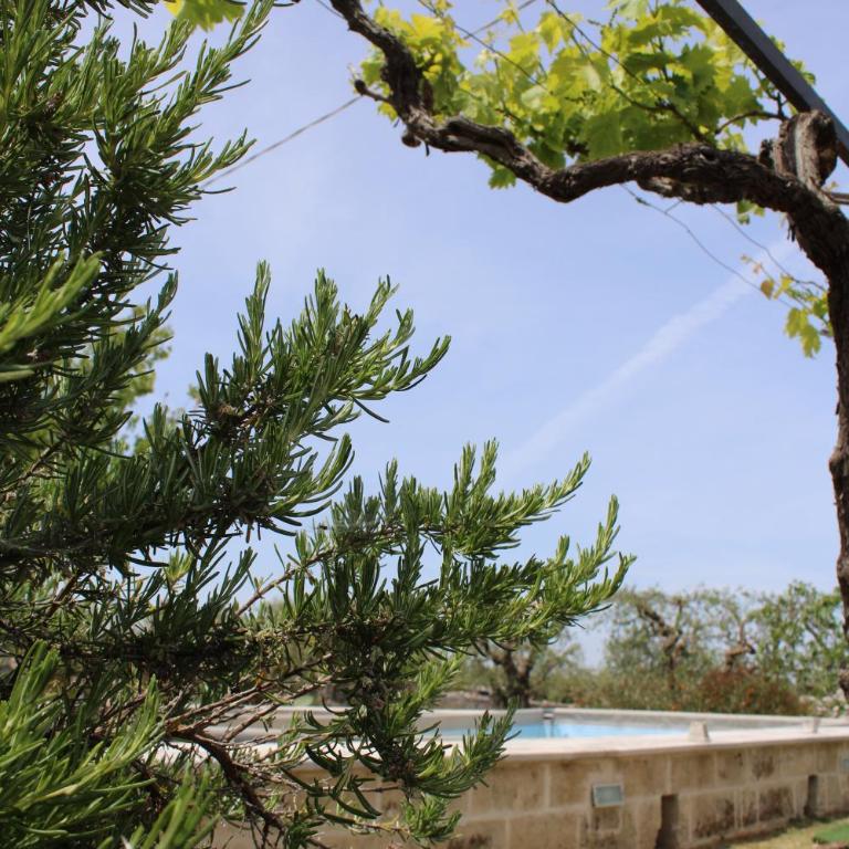 La Cummersa all'ombra dell'Ulivo - Two-Bedroom House - 22