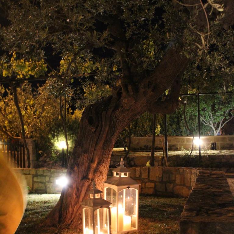 La Cummersa all'ombra dell'Ulivo - Two-Bedroom House - 28