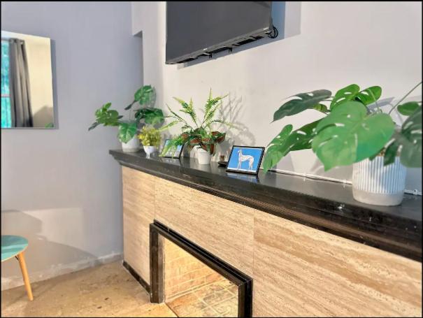 Casa Isolda - Suite - 2