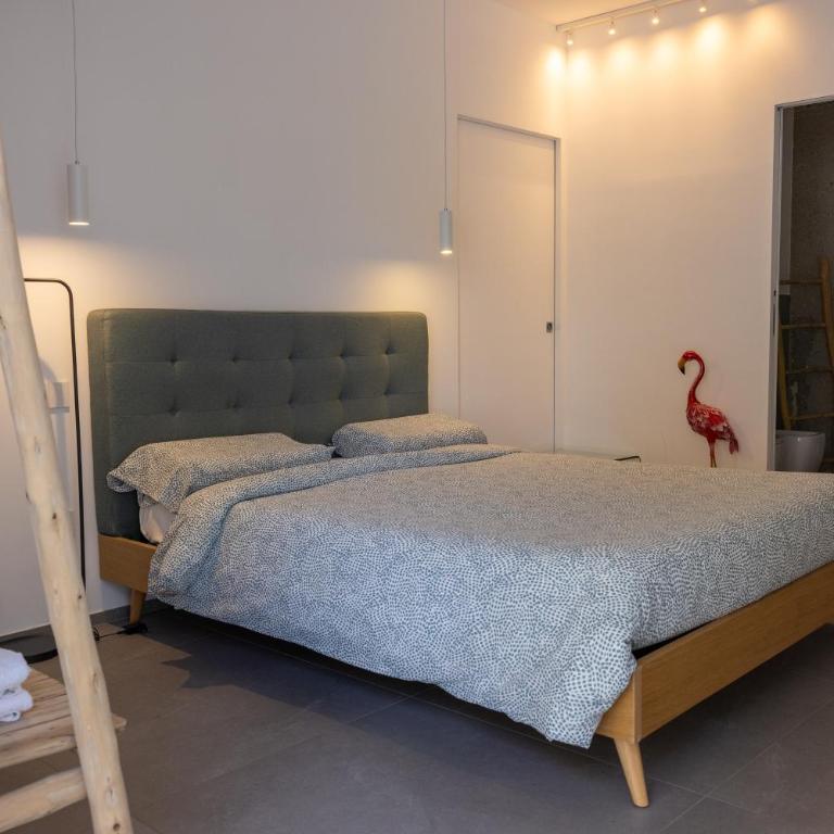 Tropicana Suite - Adults Only - Camera Matrimoniale Deluxe con Doccia - 8