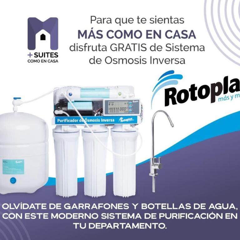 MS Suite Inmejorable Vista Alberca Milenio C31 - Apartment - 6
