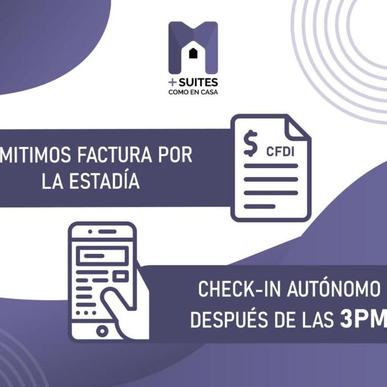 MS Suite Inmejorable Vista Alberca Milenio C31 - Apartment - 12