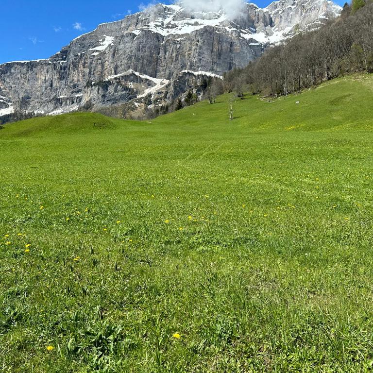 Studio magnifique avec terrasse spacieuse et jardin Loèche-les-Bains Vacances - Apartment mit 1 Schlafzimmer - 16