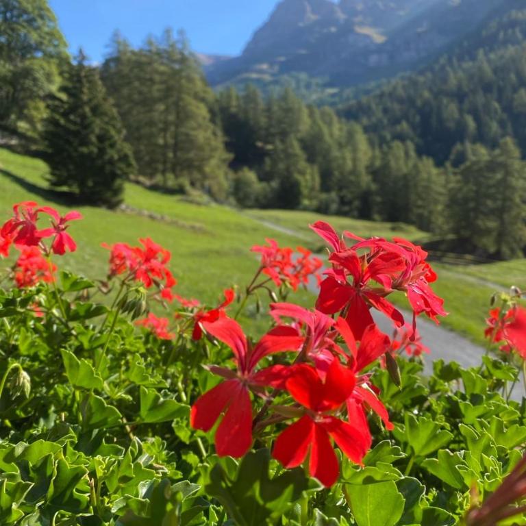 Studio magnifique avec terrasse spacieuse et jardin Loèche-les-Bains Vacances - Apartment mit 1 Schlafzimmer - 22