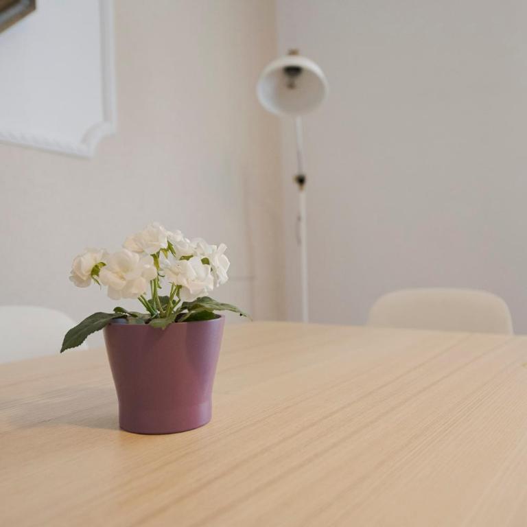 Apartamento ideal y acogedor Bengoetxea en pleno centro de Donostia - San Sebastián - Apartamento de 2 dormitorios - 8