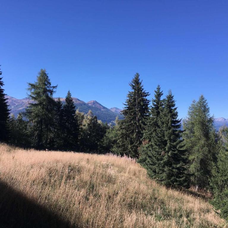Studio lumineux prox. centre, balcon, Les Arcs 1800 - FR-1-346-573 - Studio - 4