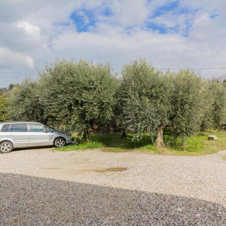 [Lazise • Lago di Garda] Piscina, Parcheggio - Monolocale Superior - 22