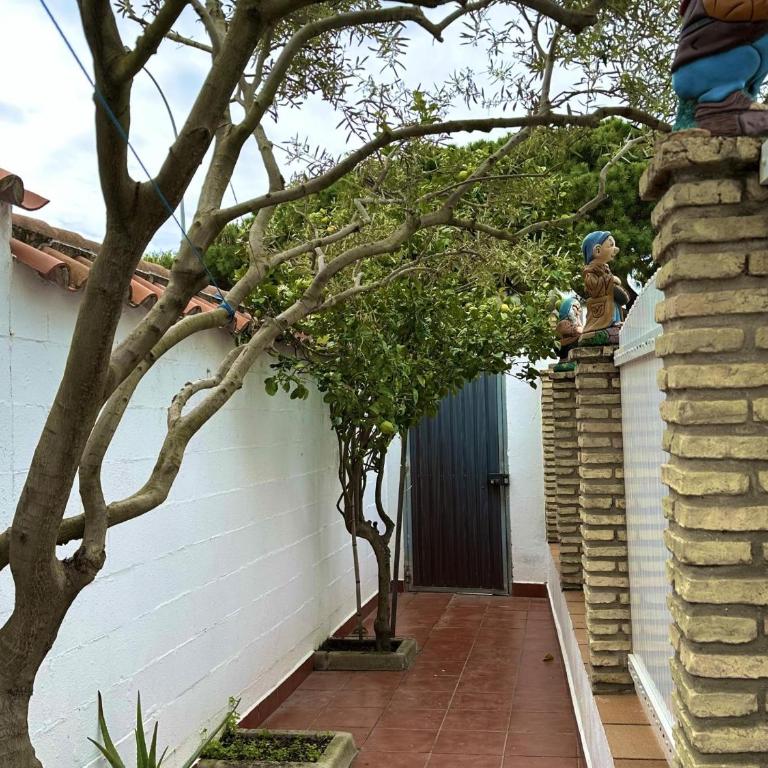 Casita en La Barrosa, Complejo Atlántico - Apartamento - 26