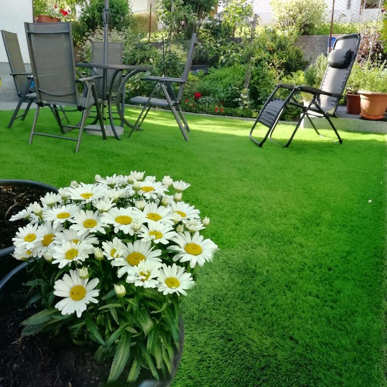 Moderno appartamento con giardino - Appartement 1 Chambre - 4