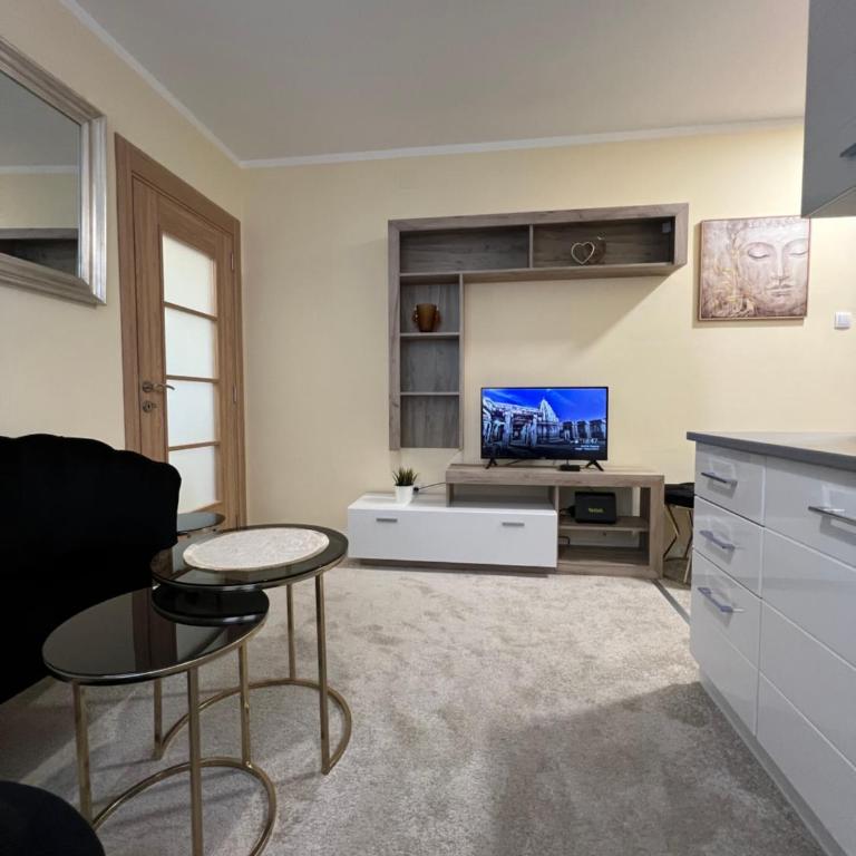 M&M Apartment Stefan Nemanja - Apartman sa 1 Spavaćom Sobom - 9