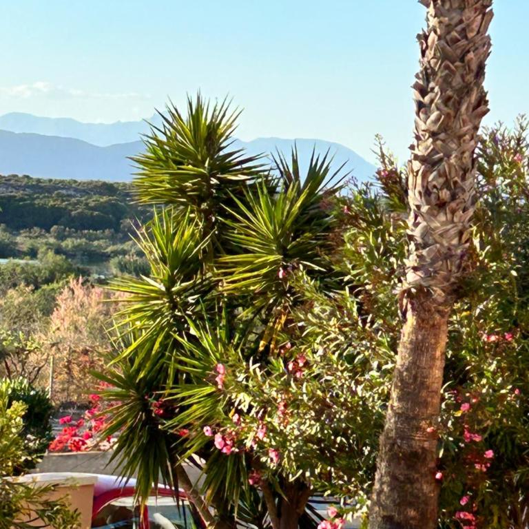 Gran Alacant Relax Casa - Two-Bedroom Apartment - 46