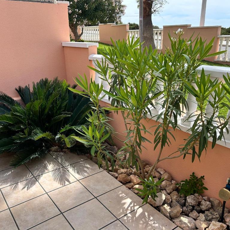 Gran Alacant Relax Casa - Two-Bedroom Apartment - 14