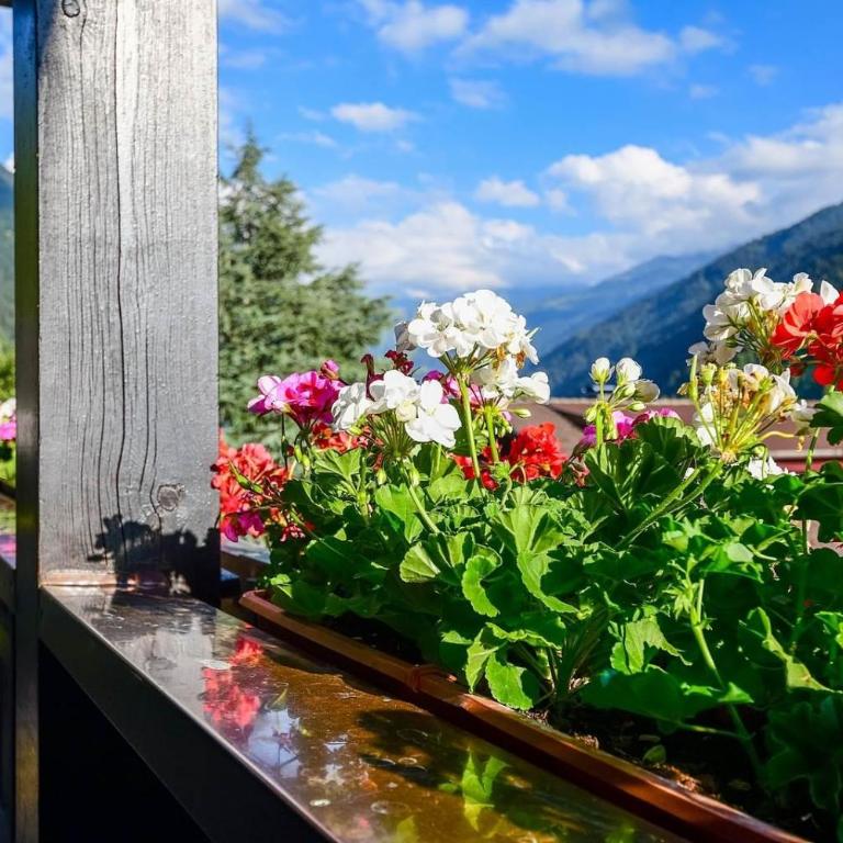 Apartment Rotbühlspitze - Apartment mit 2 Schlafzimmern und Dusche - 3