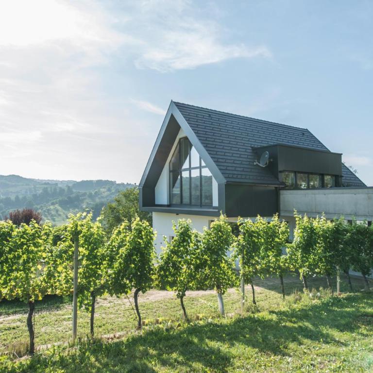 Weingut Holler Chalet - Chalet - 2