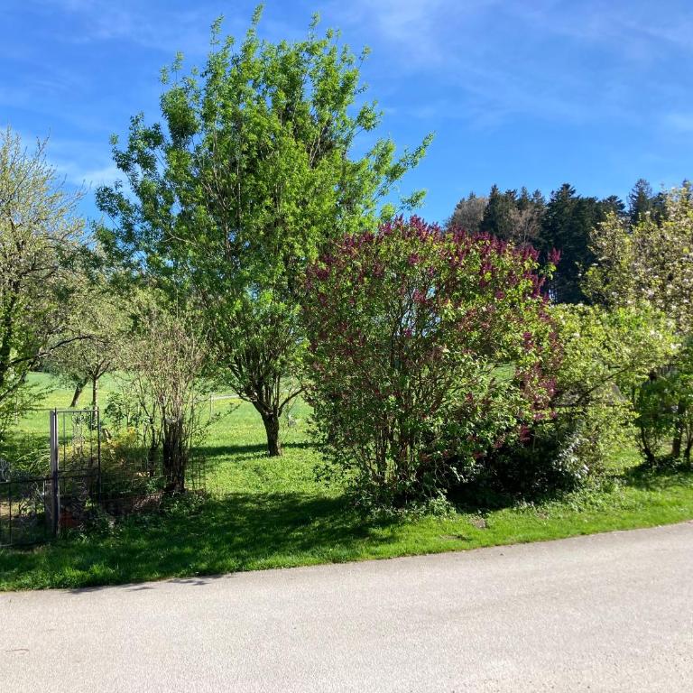 Obereggut - Deluxe Apartment mit 2 Schlafzimmern und Gartenblick - 59