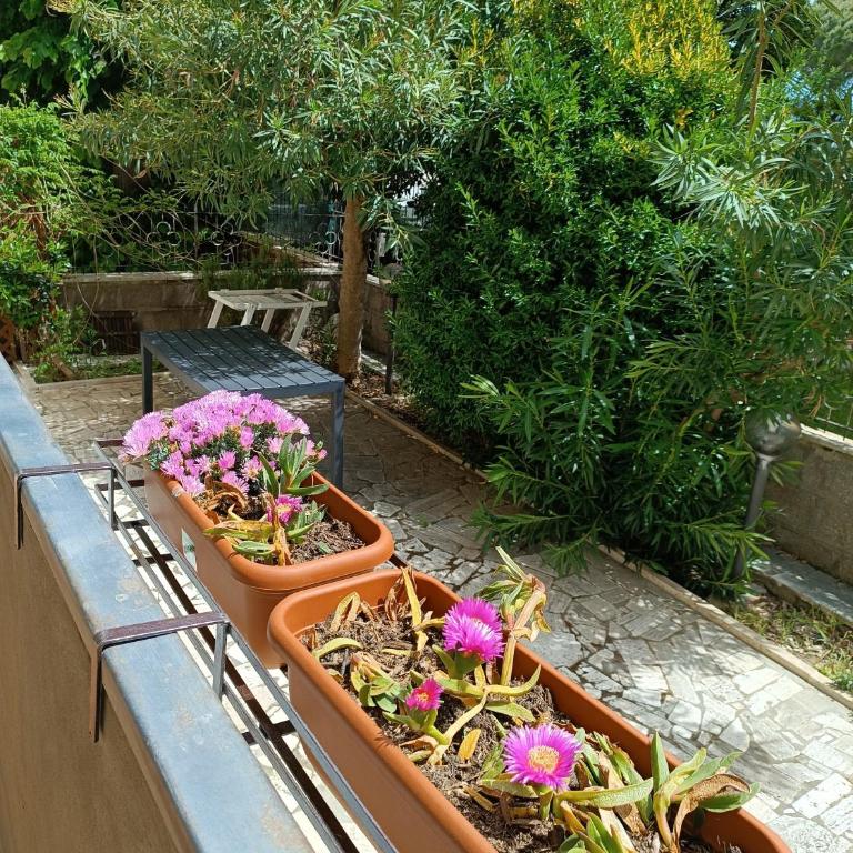 Beach House - Appartamento con 1 Camera da Letto - 19