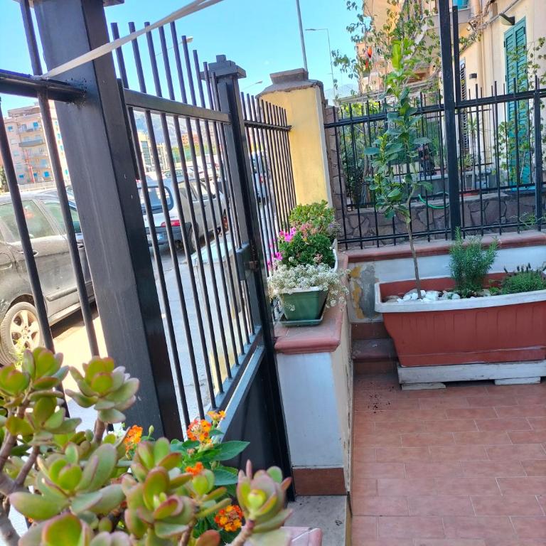 Ciuridda mia - Appartamento con 1 Camera da Letto - 45