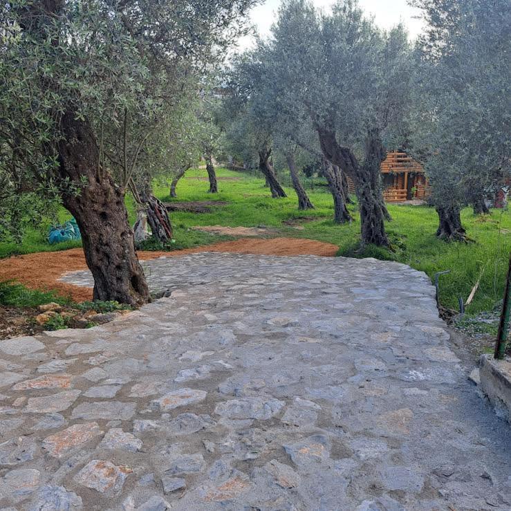 Olive & sea, Luxury two bedrooms cabin for 8 - Kuća sa 2 Spavaće Sobe - 23