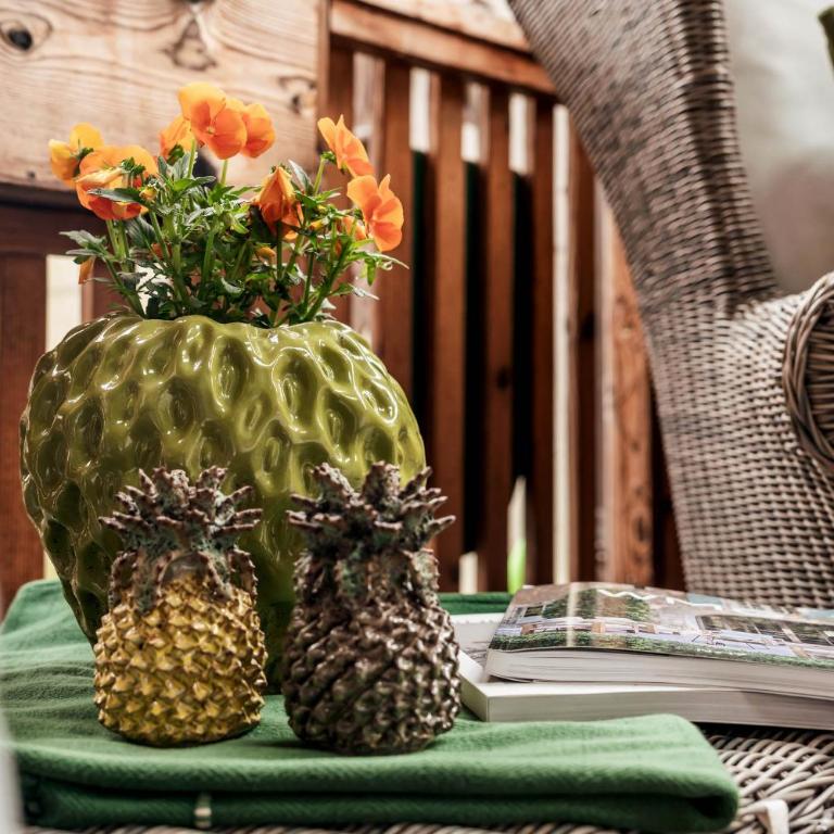 Mountainspirit - Studio mit Terrasse - 4
