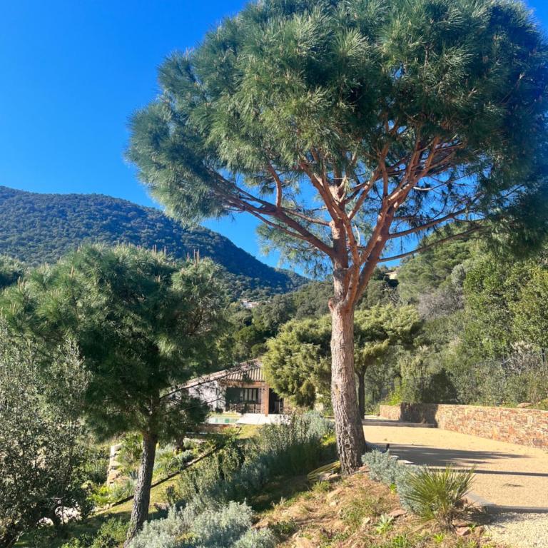 La Maison de la Genette - 5 étoiles - Villa - 19