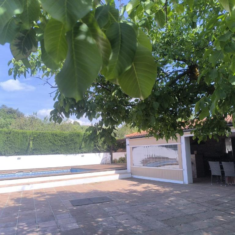 Casa La Pechá, Ronda (Málaga) - Casa de 2 dormitorios - 5