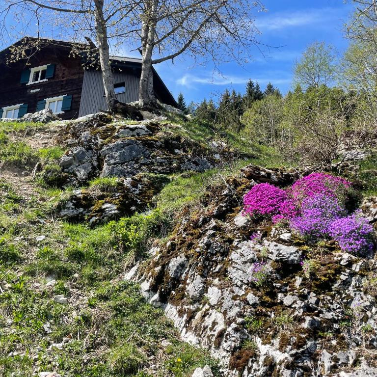 Alpenchalet Piz Hüsli - Chalet mit 2 Schlafzimmern - 13