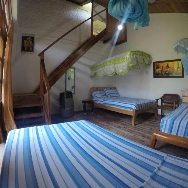 Bed and Breakfast Puerto López - Habitación Familiar - 2
