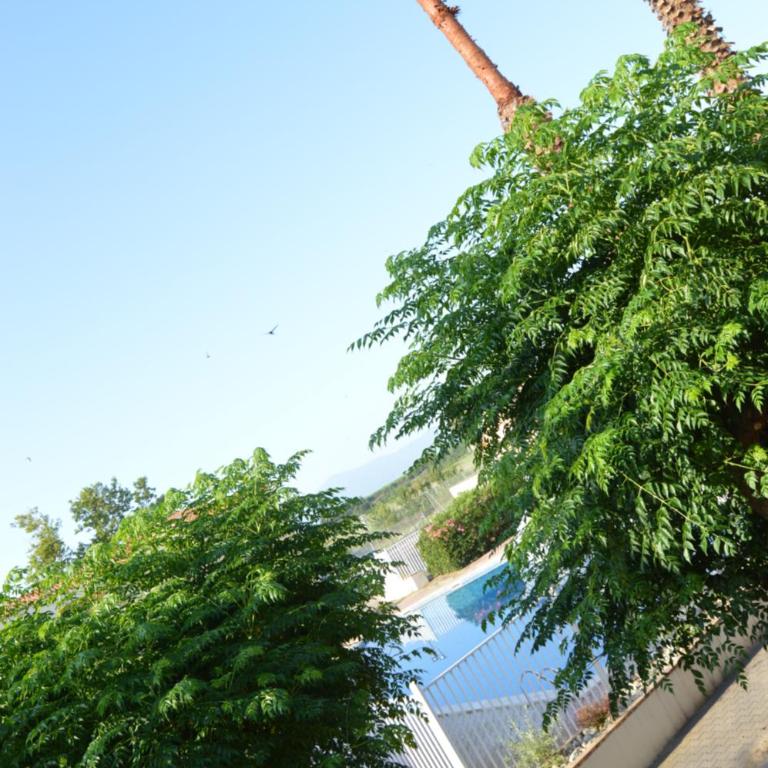 Le Petit Coeur à Canet - Superbe T2 piscine, tennis, climatisation, parking privé - Apartamento de 1 dormitorio - 25