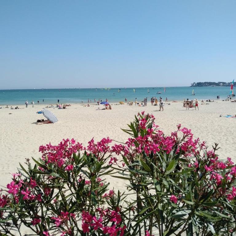 Le Capitole - Studio d'exception accès direct à la plage Benoît - Monolocale con Vista Giardino - 18