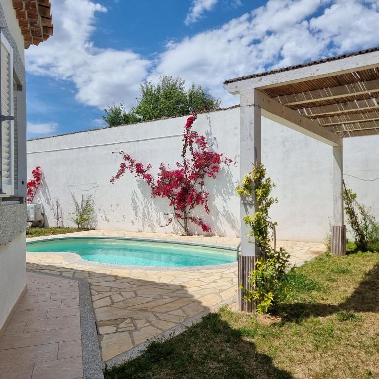 Villa Lu Tizzoni - Villa con 2 Camere da Letto - 23
