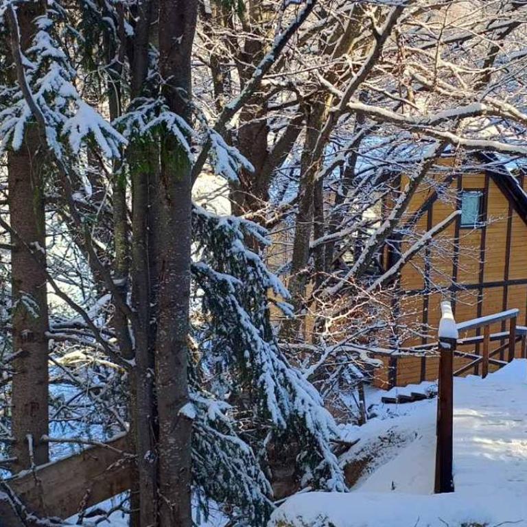 Ski & Spa Bungalows - One-Bedroom Villa - 15