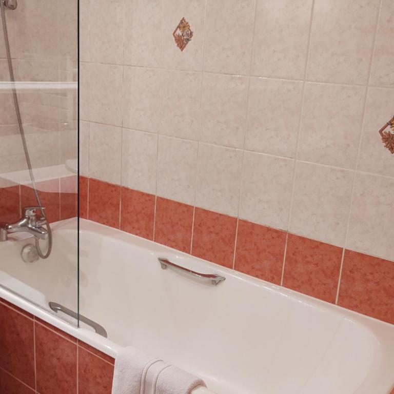 Appartement cosy aux Gets avec Wi-Fi et parking privé - FR-1-671-97 - Appartement - 11