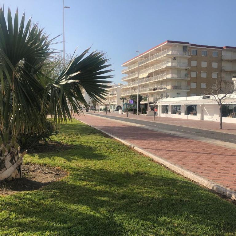 Playa de Gandia 1ere ligne El Galeon - Apartamento de 3 dormitorios - 20