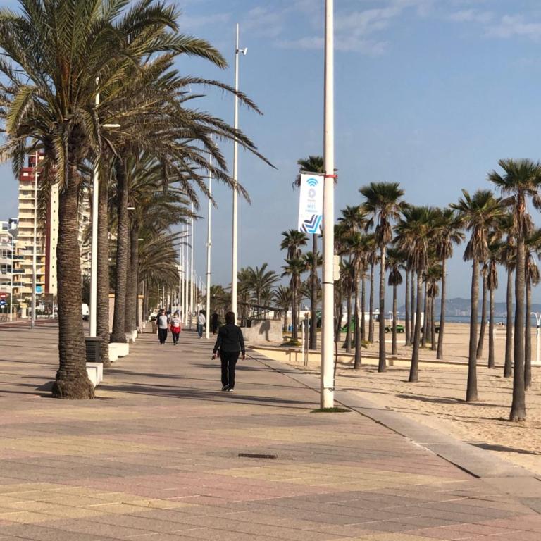 Playa de Gandia 1ere ligne El Galeon - Apartamento de 3 dormitorios - 25