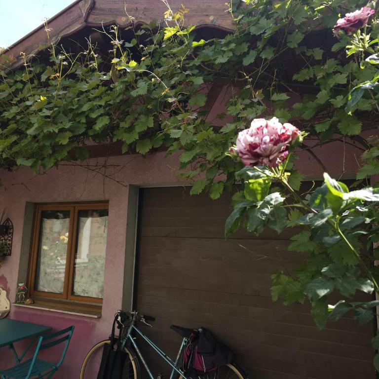 Petit Paradis Croneuva - Apartamento de 1 dormitorio - 12