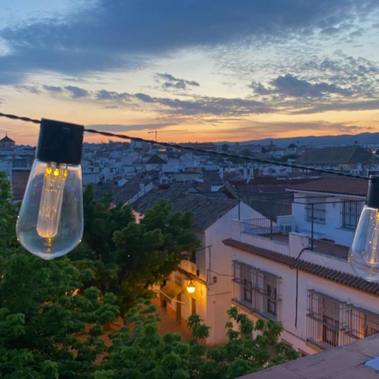 La luz de San Eloy - Apartamento de 3 dormitorios - 1