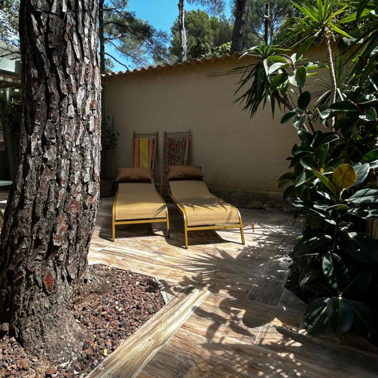 Cabanon à Sanary sur mer au coeur de Portissol. - Maison 1 Chambre - 13