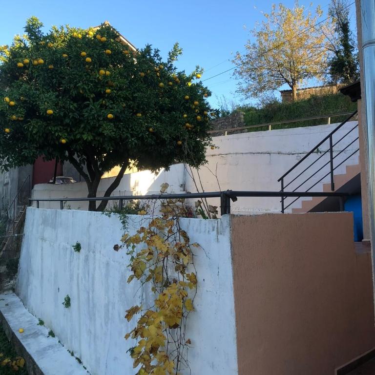 City Heart Apartments 2 - Apartman sa 2 Spavaće Sobe - 21