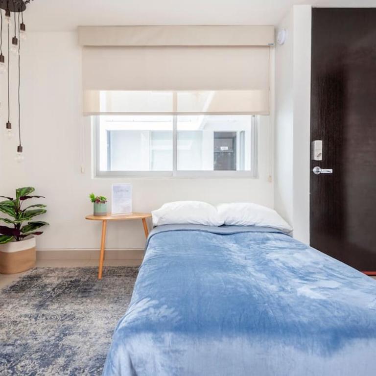 Increíble y nuevo depa centrico! - Two-Bedroom Apartment - 4
