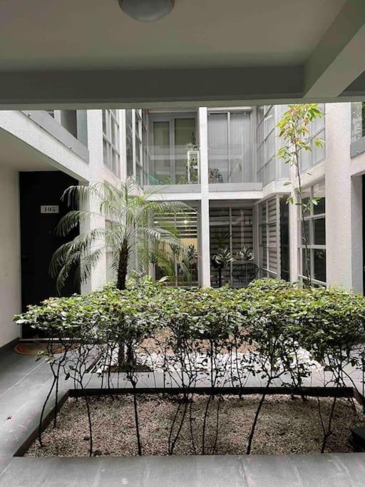 Increíble y nuevo depa centrico! - Two-Bedroom Apartment - 6