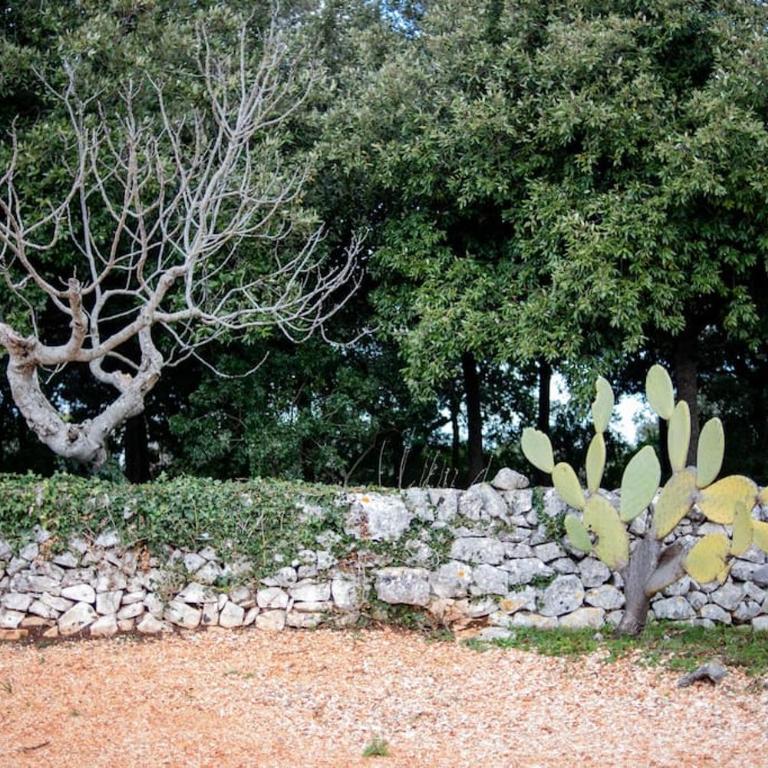 Trulli d'Estia - casa vacanze - Three-Bedroom House - 20