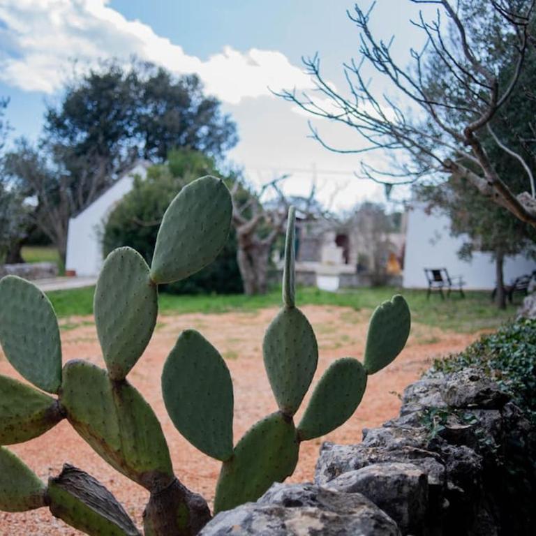 Trulli d'Estia - casa vacanze - Three-Bedroom House - 28