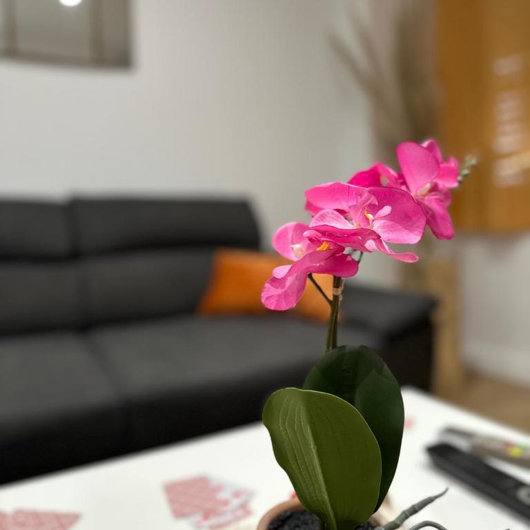 Esprit méditerranéen - Apartment mit 2 Schlafzimmern - 6